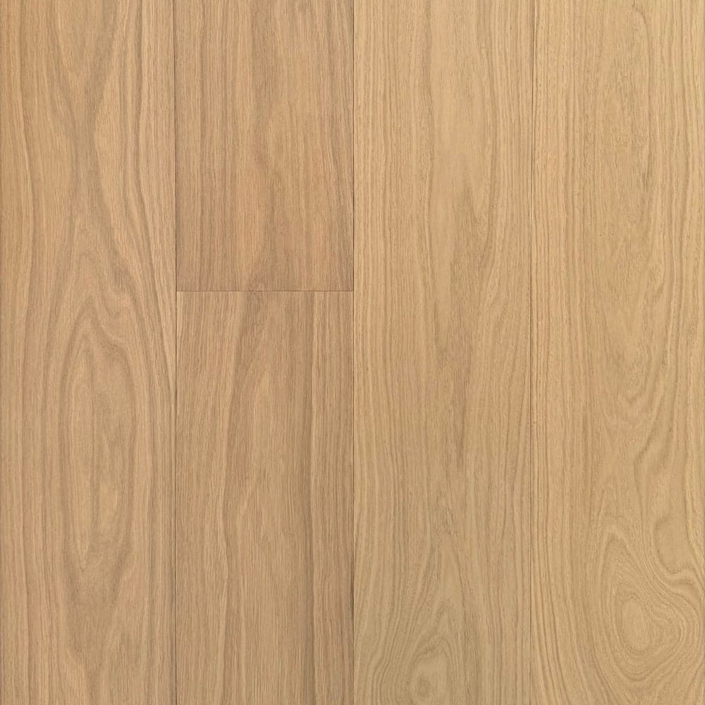 Aurenza Signature Alano swatch