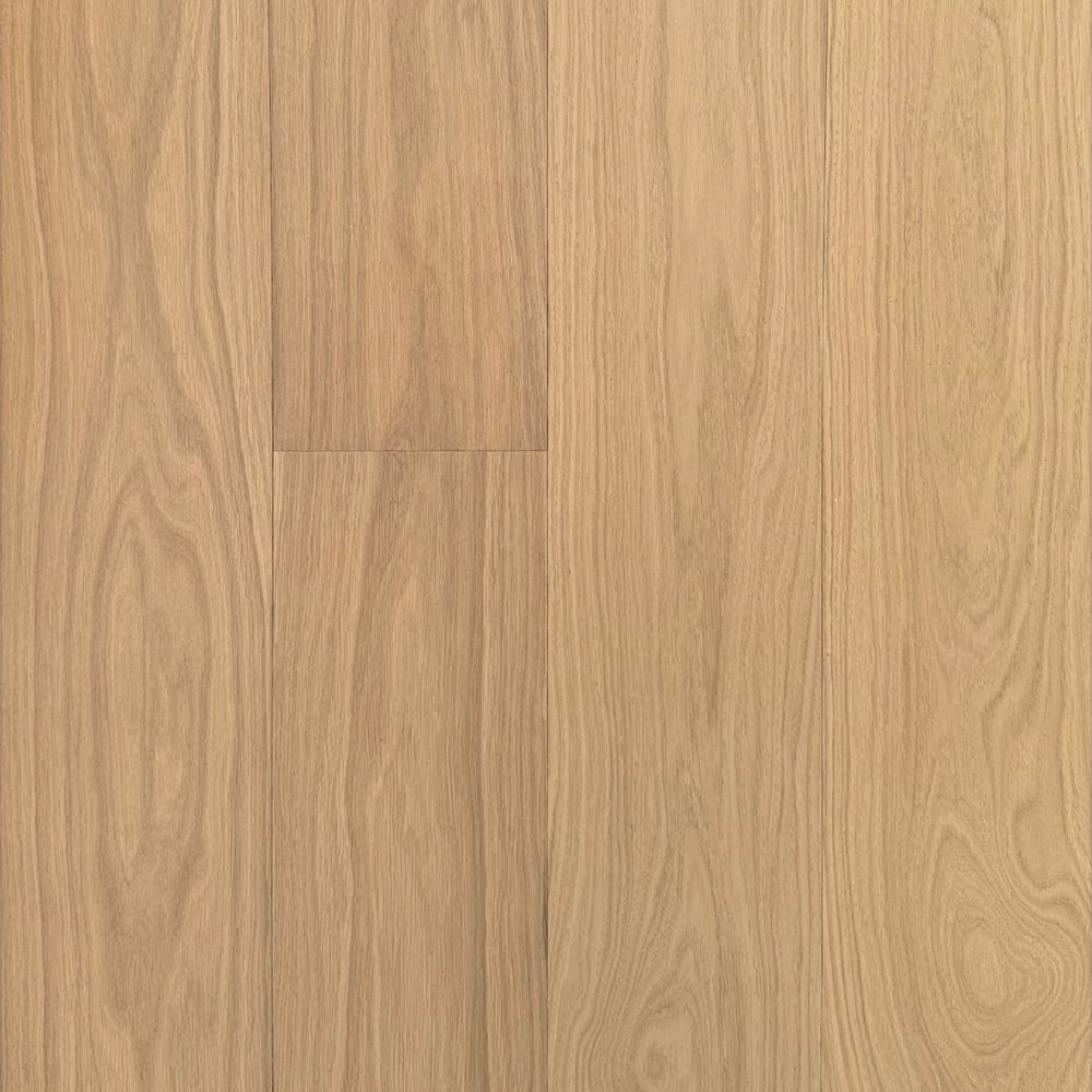 Aurenza Signature Alano swatch