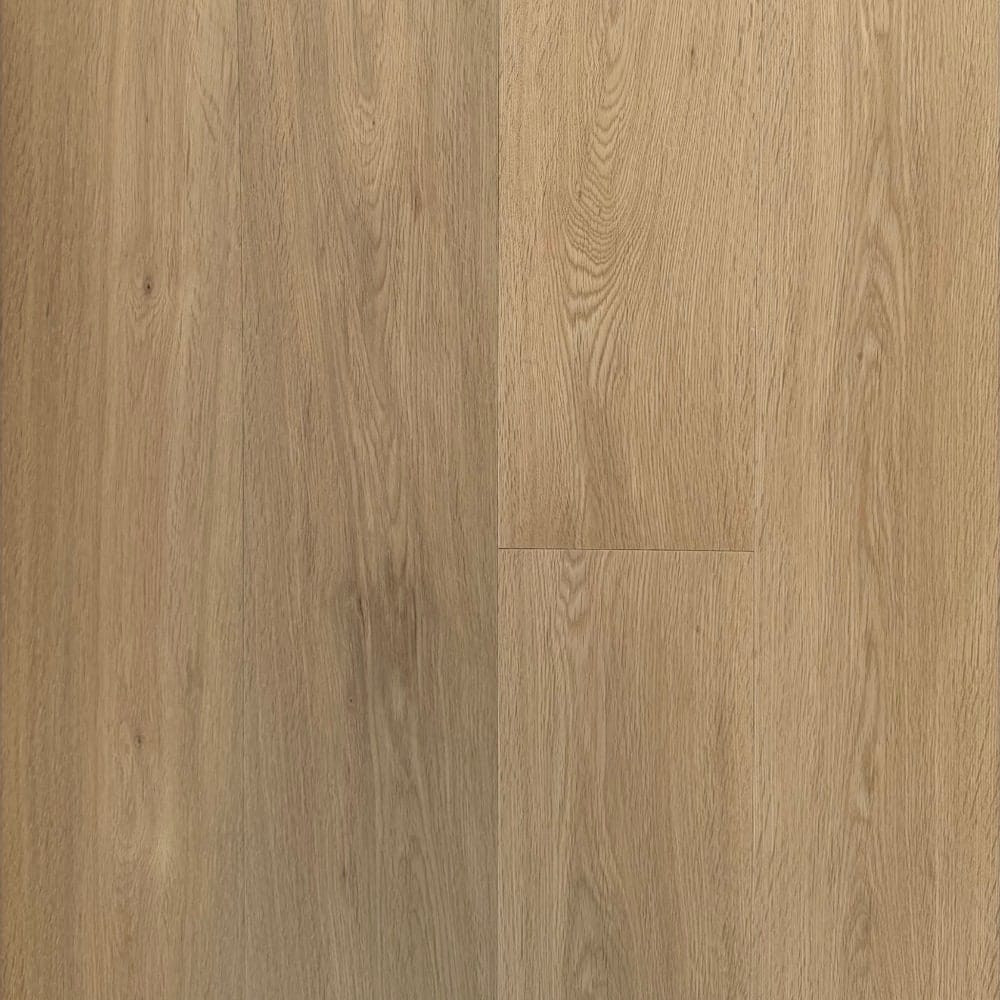 Haus Premium Dawn swatch